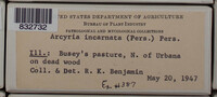 Image Associated With the Occurence